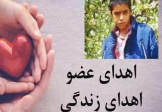 اهدای عضو، اهدای زندگی
